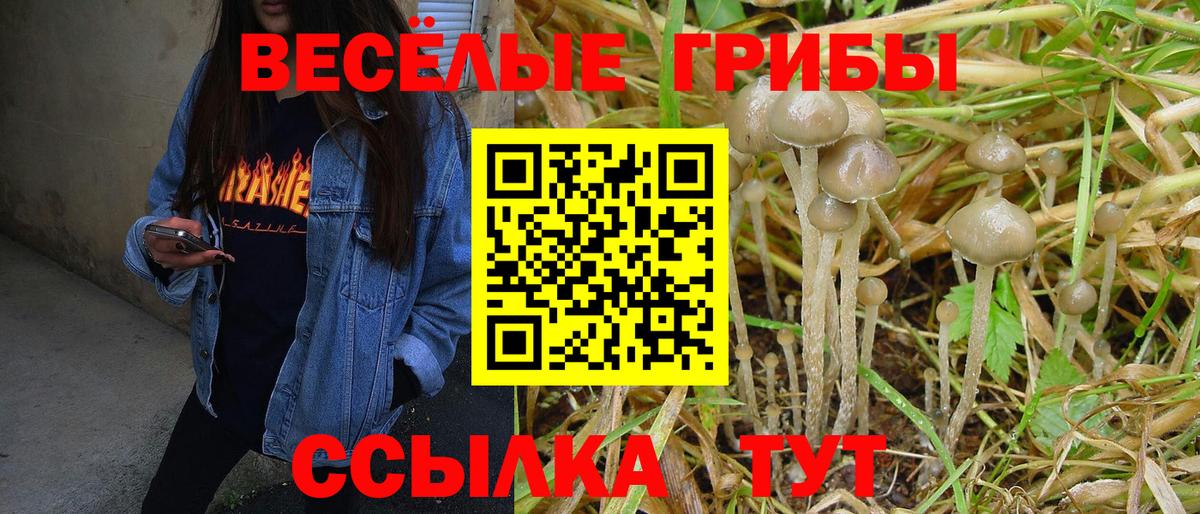 Псилоцибиновые грибы Magic Shrooms  Вход с VPN  Энгельс  Галлюциногенные грибы прущие грибы 